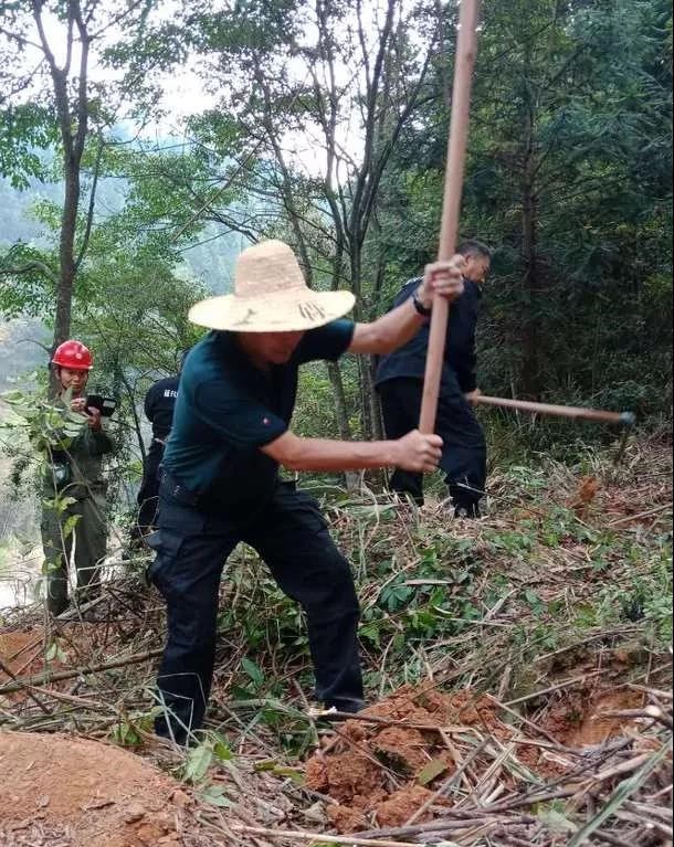 干好每一天|青山掛白我復綠，無私奉獻金森人——資源保護部義務突擊隊工作記實