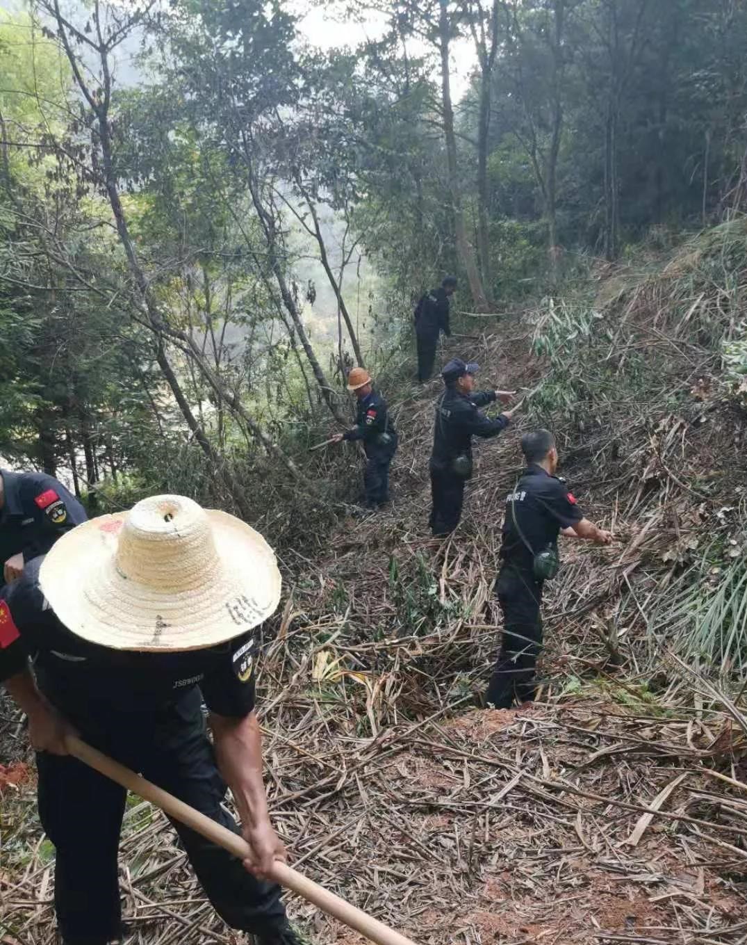 干好每一天|青山掛白我復綠，無私奉獻金森人——資源保護部義務突擊隊工作記實