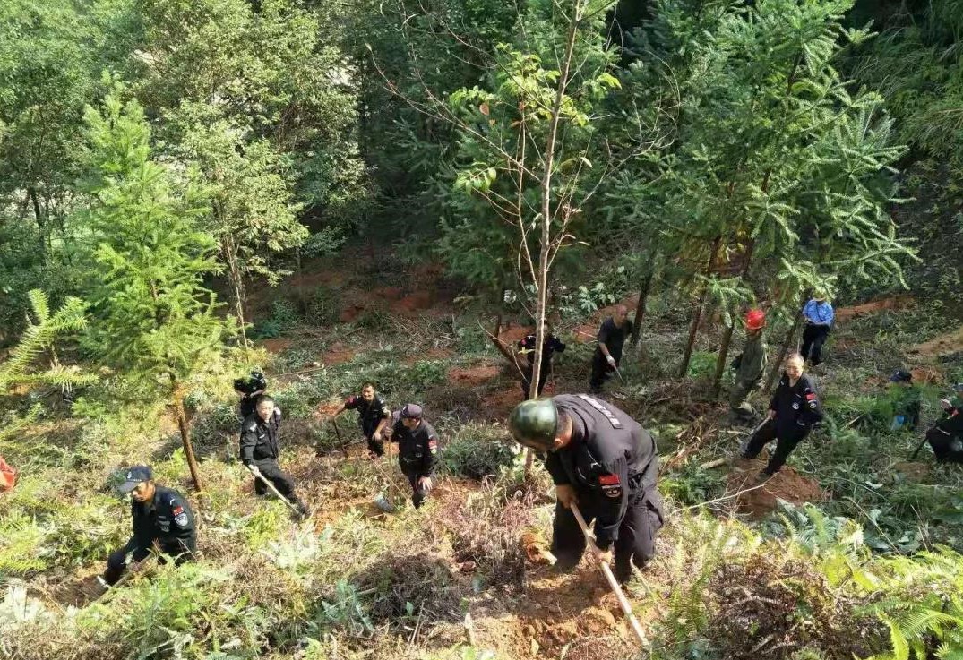 干好每一天|青山掛白我復綠，無私奉獻金森人——資源保護部義務突擊隊工作記實