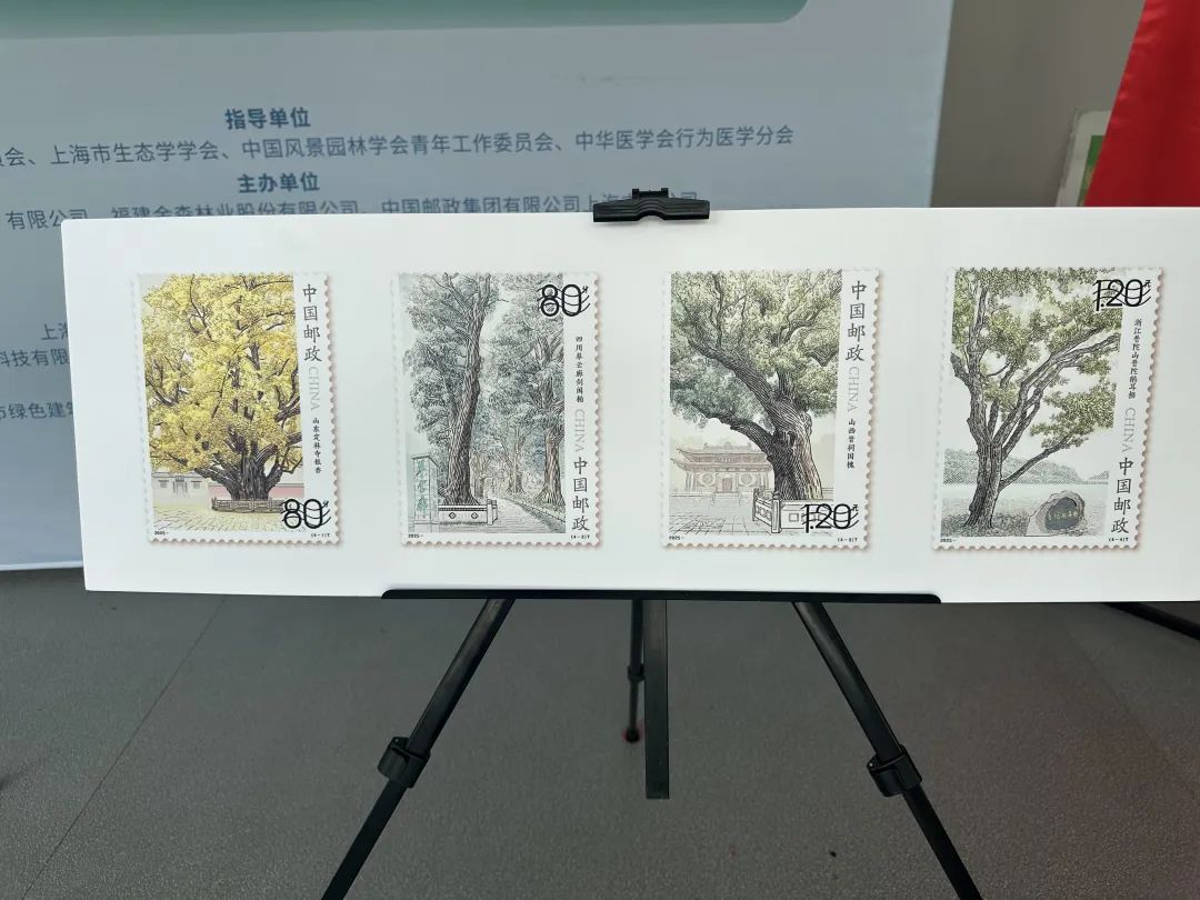 全國生態(tài)日來了！福建金森攜手舉辦上?！吧胶Ｍ铡ば雍糜心恪被顒?/></p><p style=